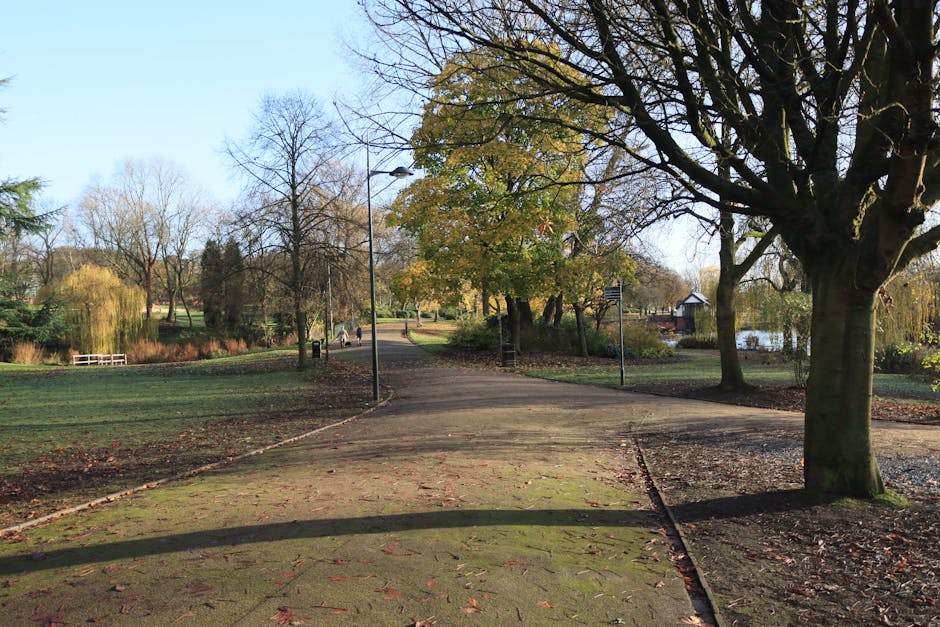 An outdoor scene in Valentines Park during daytime, showing a winding paved pathway surrounded by grass and a variety of deciduous trees with some leaves fallen, indicating autumn. A few park benches are visible along the path, with lamp posts lining the walkway, and a small water feature can be seen in the background on the right side. The scene is well-lit with clear, blue skies overhead. As part of a house relocation or furniture transport process, this park setting may be used for loading or unloading belongings from a moving vehicle or van, which is associated with Man with Van Ilford. The environment suggests a quiet, accessible area suitable for residential moves involving packing, loading, and transporting household items safely.